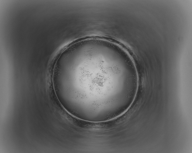 X0000113081359200909041120