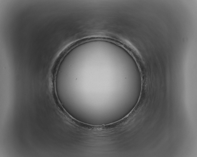 X0000113081360200909041120