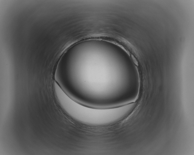 X0000113081361200909041120