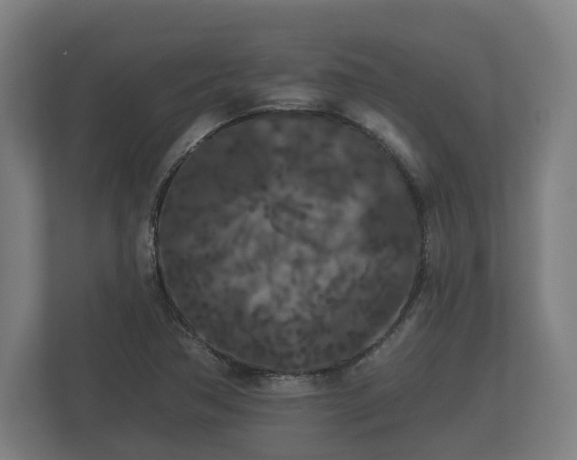 X0000113081362200909041120