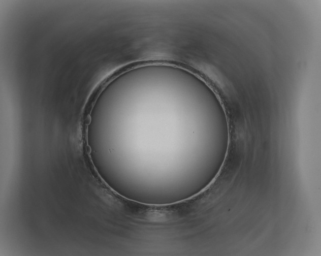 X0000113081364200909041120