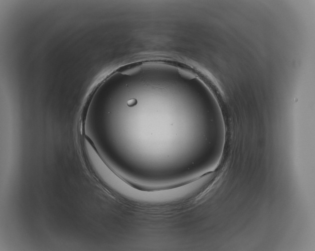 X0000113081365200909041120