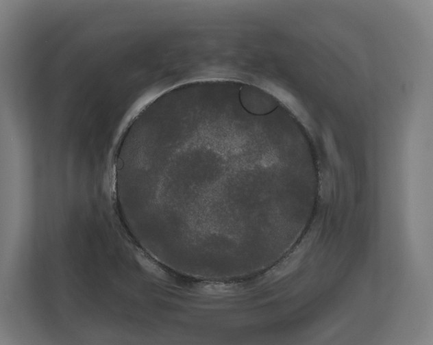 X0000113081366200909041120