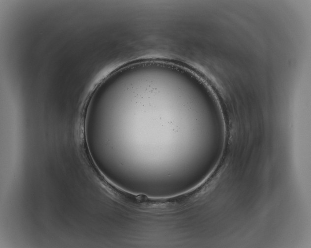 X0000113081367200909041120