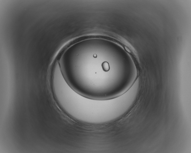 X0000113081368200909041120