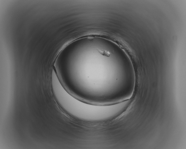 X0000113081369200909041120