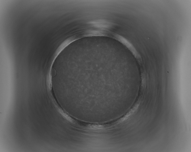 X0000113081370200909041120