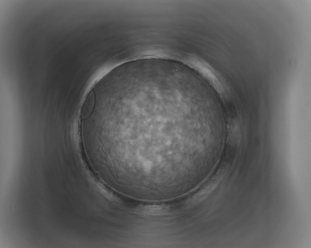 X0000113081373200909041120