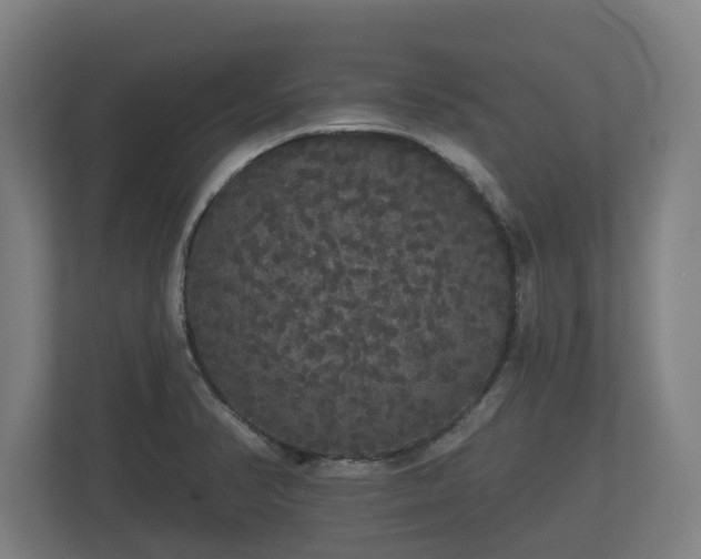 X0000113081374200909041120