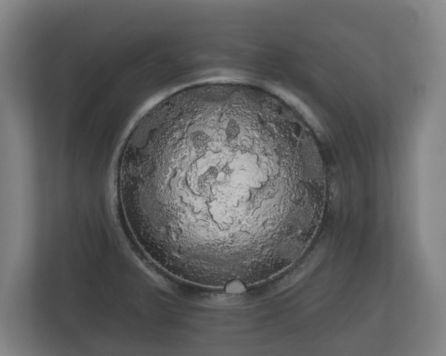 X0000113081375200909041120