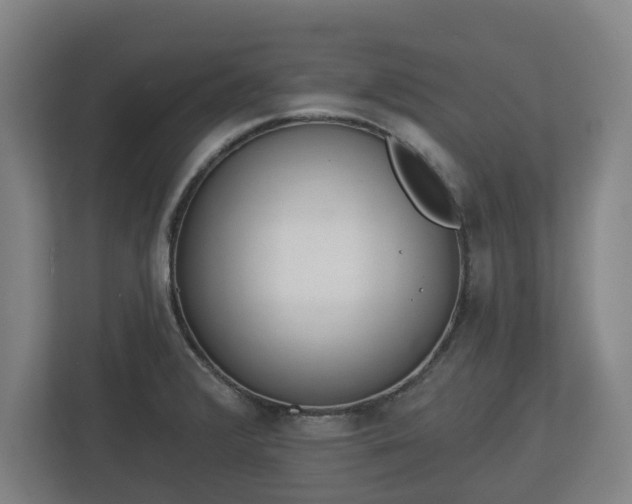 X0000113081376200909041120