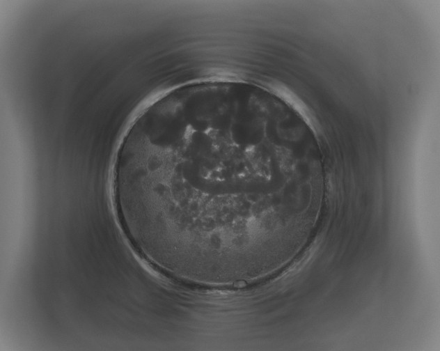 X0000113081379200909041120