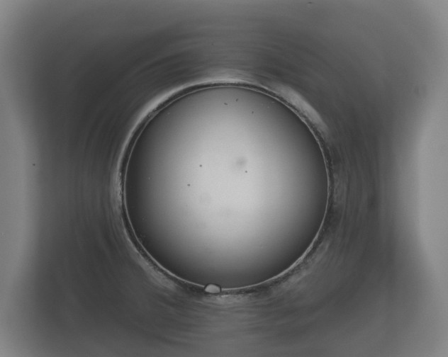 X0000113081380200909041120