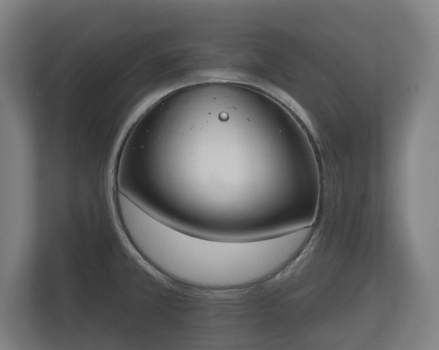 X0000113081381200909041120