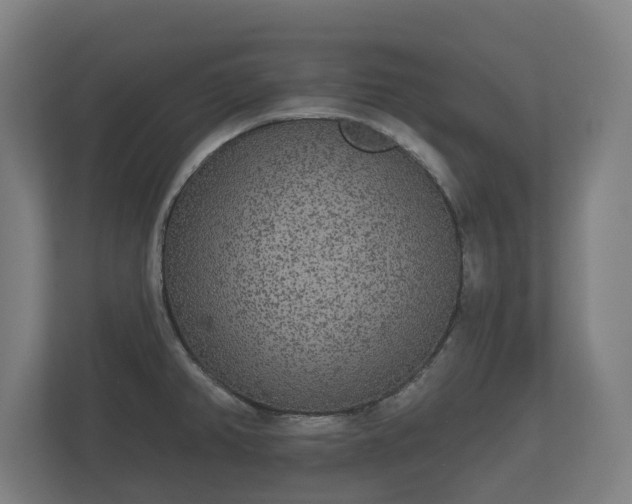 X0000113081382200909041120