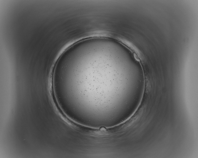 X0000113081383200909041120