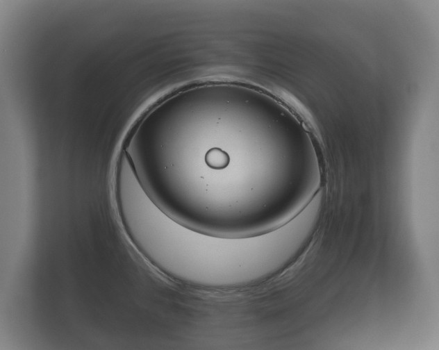 X0000113081384200909041120