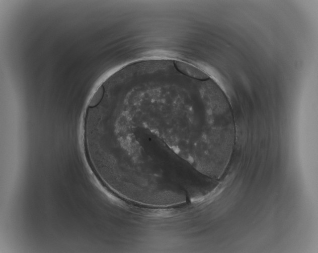 X0000113081387200909041120