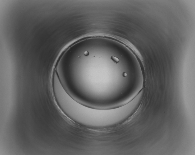 X0000113081388200909041120