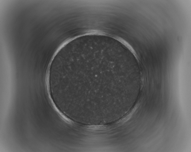 X0000113081391200909041120