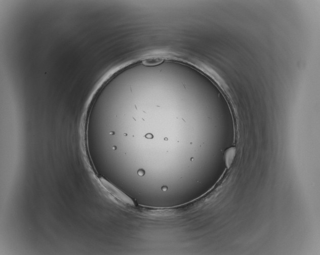 X0000113081392200909041120