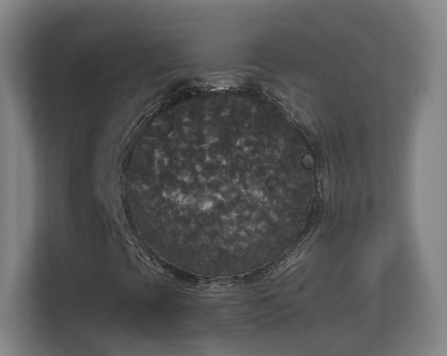 X0000113081393200909041119