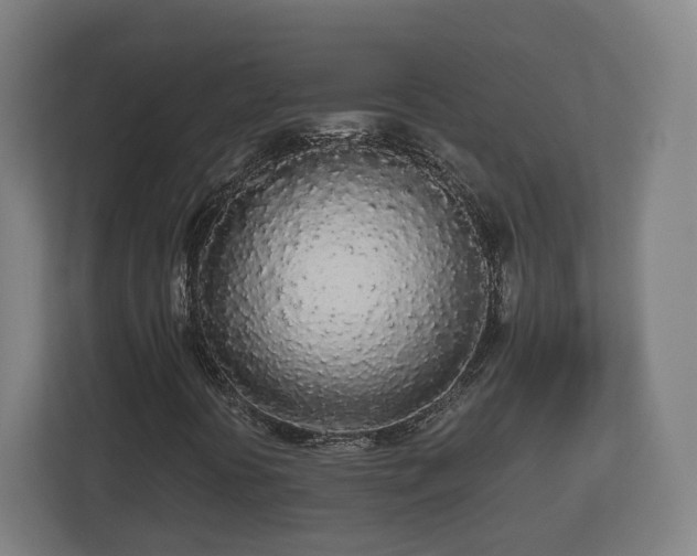 X0000113081394200909041119