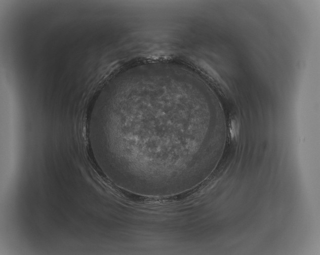 X0000113081396200909041119