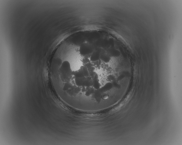 X0000113081401200909041119