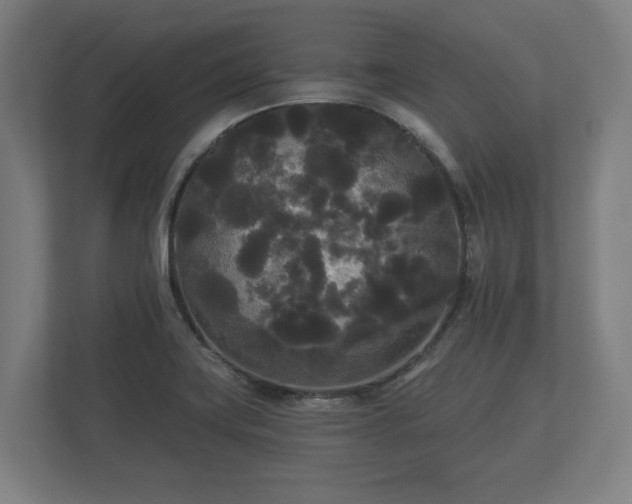 X0000113081419200909041119