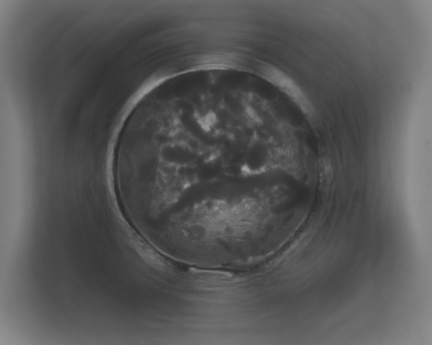 X0000113081427200909041119