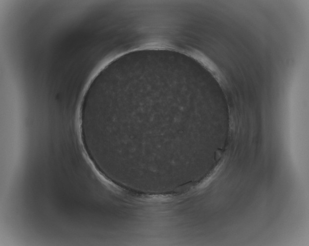 X0000113081430200909041120