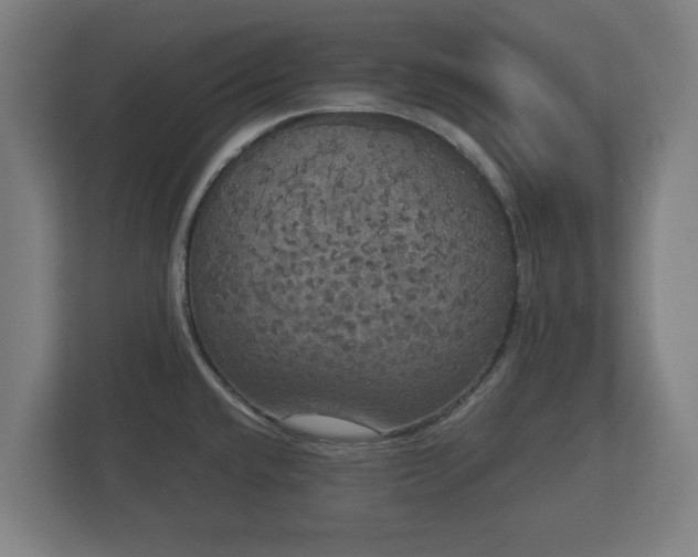 X0000113081432200909041120