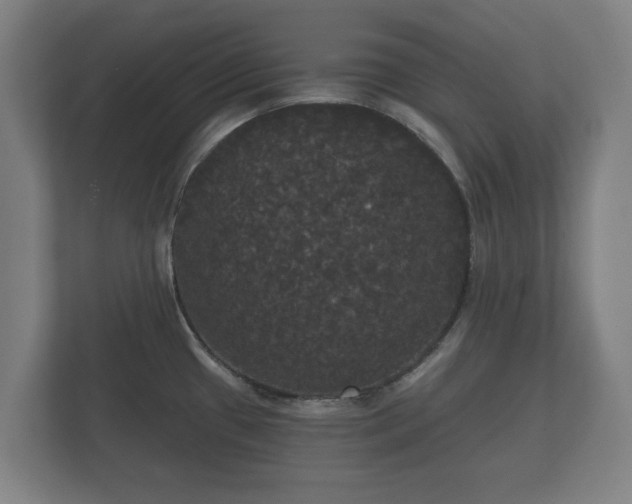 X0000113081433200909041120