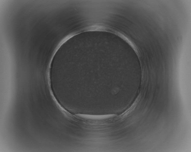 X0000113081434200909041120