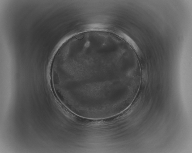 X0000113081435200909041120