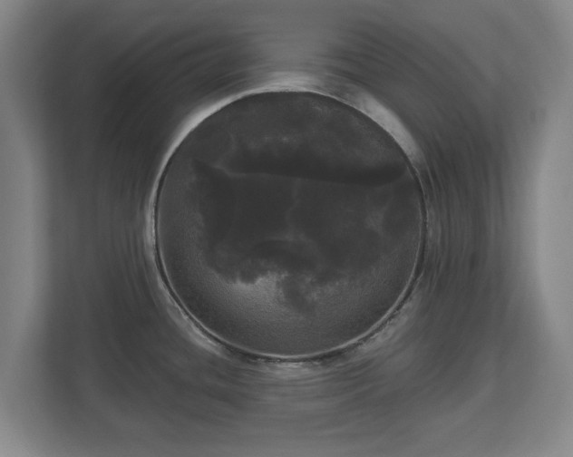 X0000113081436200909041120