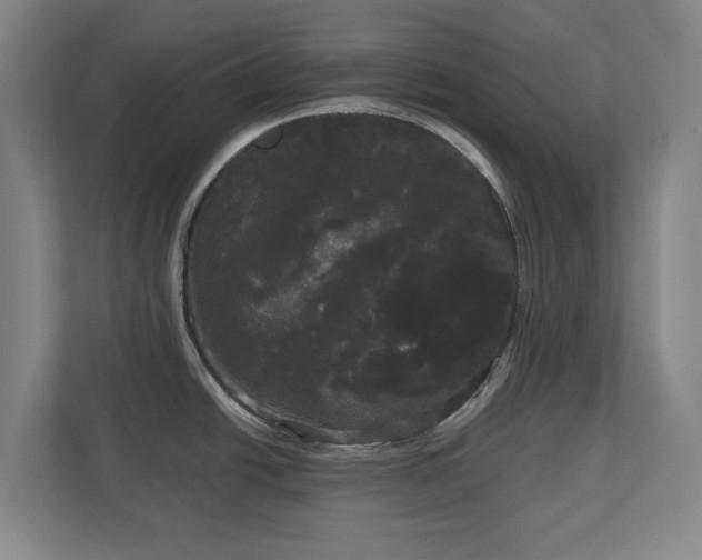 X0000113081438200909041120