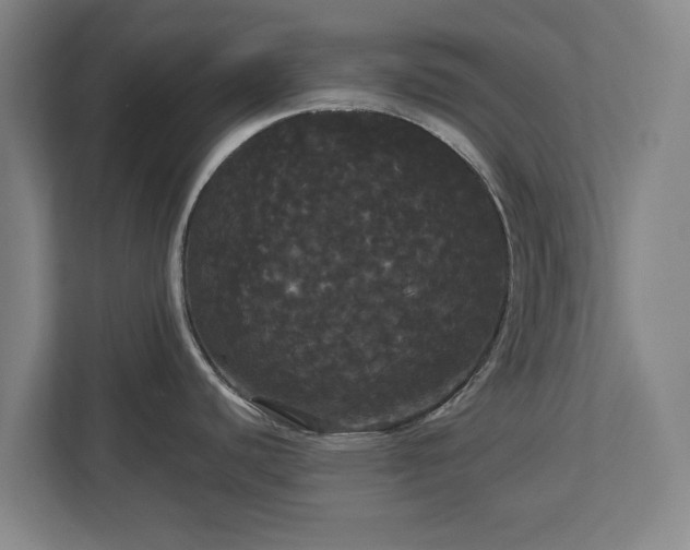 X0000113081440200909041120