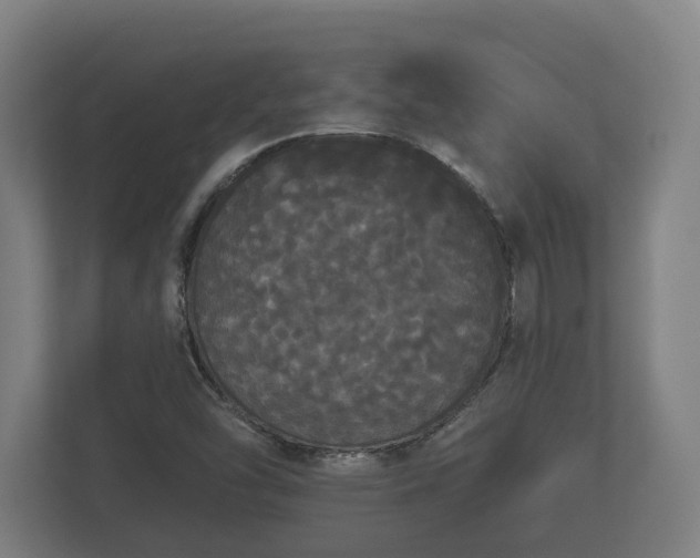 X0000113081454200909041119