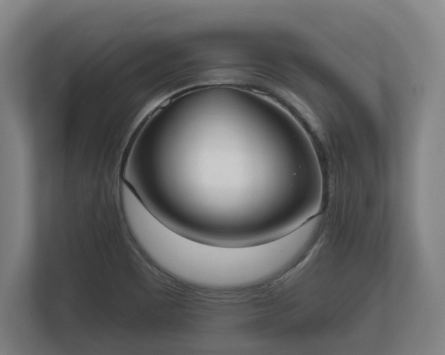 X0000113081465200909041119