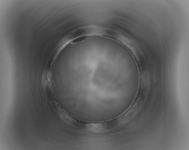 X0000113081481200909041118