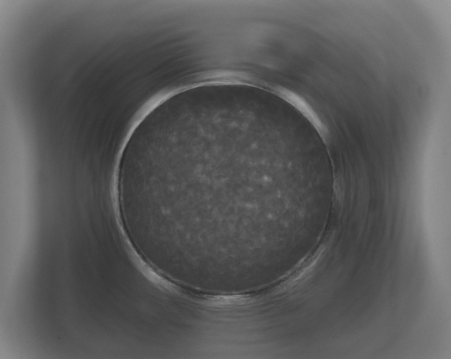 X0000113081482200909041118