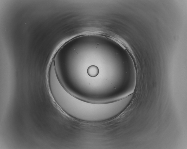 X0000113081488200909041118