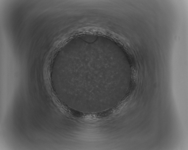 X0000113081489200909041118