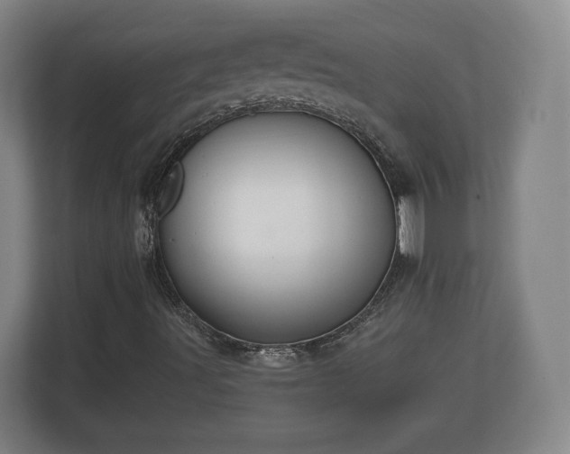 X0000113081491200909041118