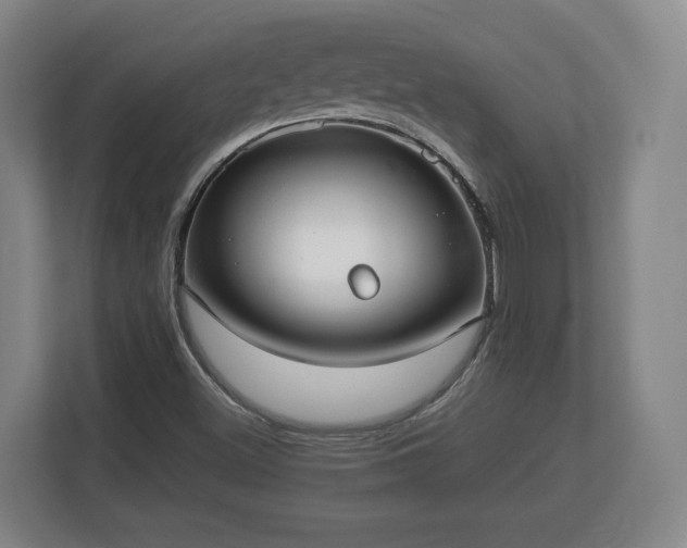 X0000113081500200909041118