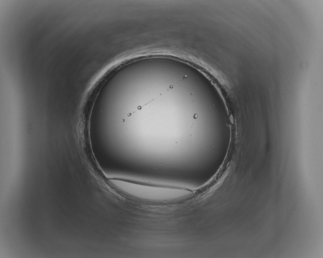 X0000113081502200909041118