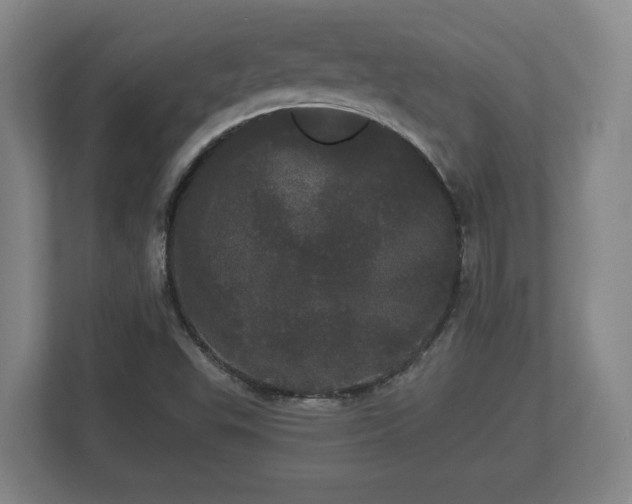 X0000113081503200909041118