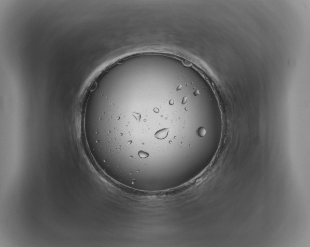 X0000113081504200909041118